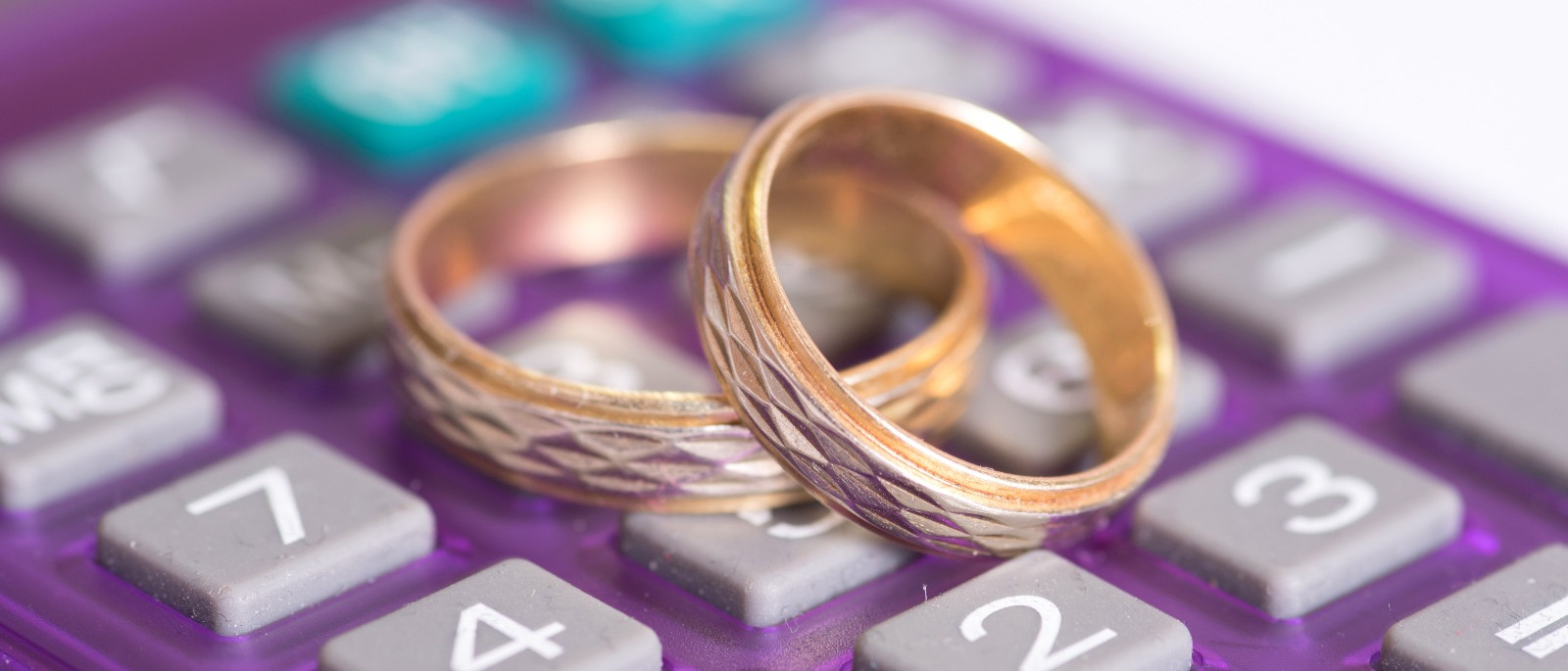 Budget Calculator for Wedding with Spreadsheet download